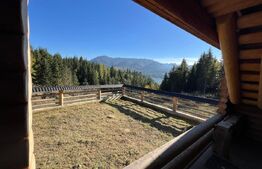 Cabană de vanzare în Colibita, 9 camere, 1002 mp teren