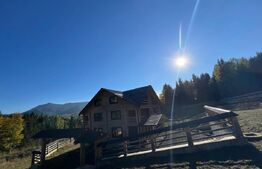 Cabană de vanzare în Colibita, 9 camere, 1002 mp teren