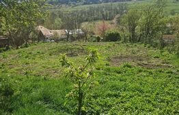 Casa de vanzare, 3 camere, 80 mp, comuna Spermezeu