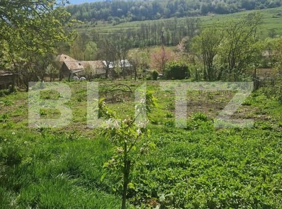 Casa de vânzare 3 camere Exterior Vest - 164552CV | BLITZ Bistriţa | Poza4