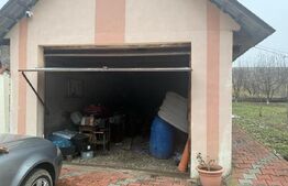 Casa individuala cu 2 camere, 160 mp utili, teren 3800 mp, Bistrita