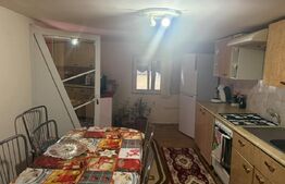 Casa individuala cu 2 camere, 160 mp utili, teren 3800 mp, Bistrita