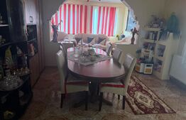 Casa individuala cu 2 camere, 160 mp utili, teren 3800 mp, Bistrita