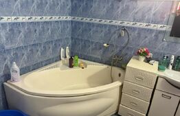 Casa individuala cu 2 camere, 160 mp utili, teren 3800 mp, Bistrita