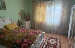 Casa individuala cu 2 camere, 160 mp utili, teren 3800 mp, Bistrita