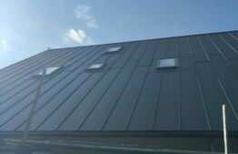 Casa de vacanta tip A, 3 camere, 150 mp+4100 mp teren, zona Colibita