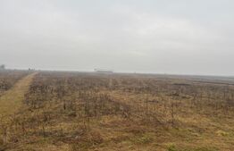 Teren Intravilan, 3000 mp, zona Chintelnic