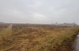 Teren Intravilan, 3000 mp, zona Chintelnic