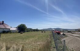 Teren Intravilan, 3000 mp, zona Chintelnic