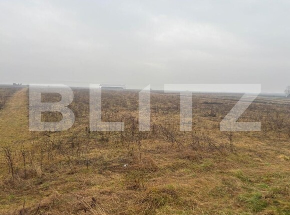 Teren de vânzare Exterior Sud - 164559TV | BLITZ Bistriţa | Poza2