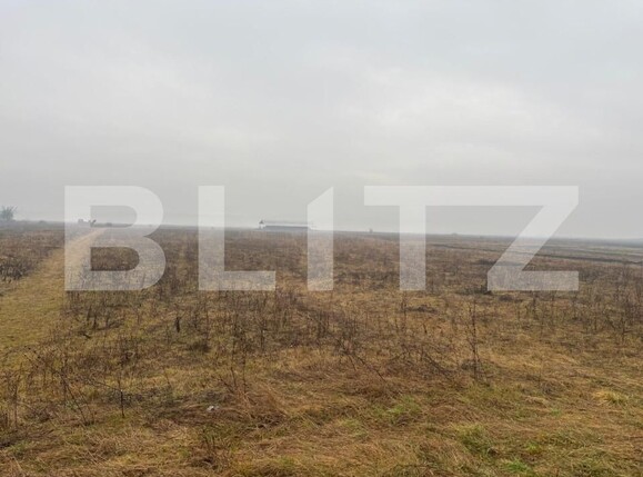 Teren de vânzare Exterior Sud - 164559TV | BLITZ Bistriţa | Poza1