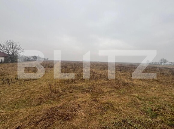 Teren de vânzare Exterior Sud - 164559TV | BLITZ Bistriţa | Poza3