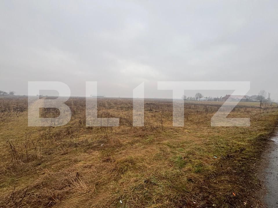 Teren de vânzare Exterior Sud - 164559TV | BLITZ Bistriţa | Poza3