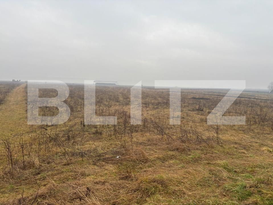 Teren de vânzare Exterior Sud - 164559TV | BLITZ Bistriţa | Poza4
