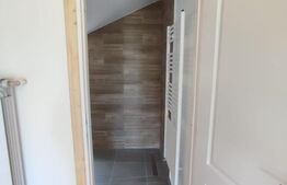 Casă de vacanță, 3 camere, 100 mp, zona Colibița