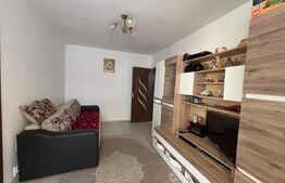 Apartament de vanzare, 2 camere, 43 mp, zona Centrala