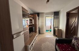Apartament de vanzare, 2 camere, 43 mp, zona Centrala