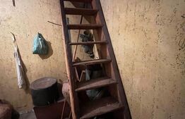 Casa individuala de vanzare, 110 mp + 2700 mp teren,  la 11 km de Bistrita