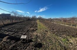 Casa individuala de vanzare, 110 mp + 2700 mp teren,  la 11 km de Bistrita