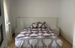 Casa cu 5 camere, 500 mp, zona Hotel Diana