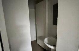 Spatiu comercial de inchiriat, 3 camere, 90 mp, zona Big