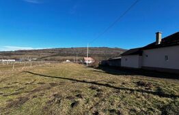 Teren intravilan de vanzare, 2900 mp, la 11 km de Bistrita 