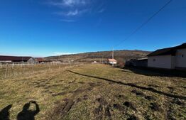 Teren intravilan de vanzare, 2900 mp, la 11 km de Bistrita 