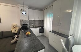 Apartament  de vanzare, 2 camere,  50 mp, zona Metropolitan
