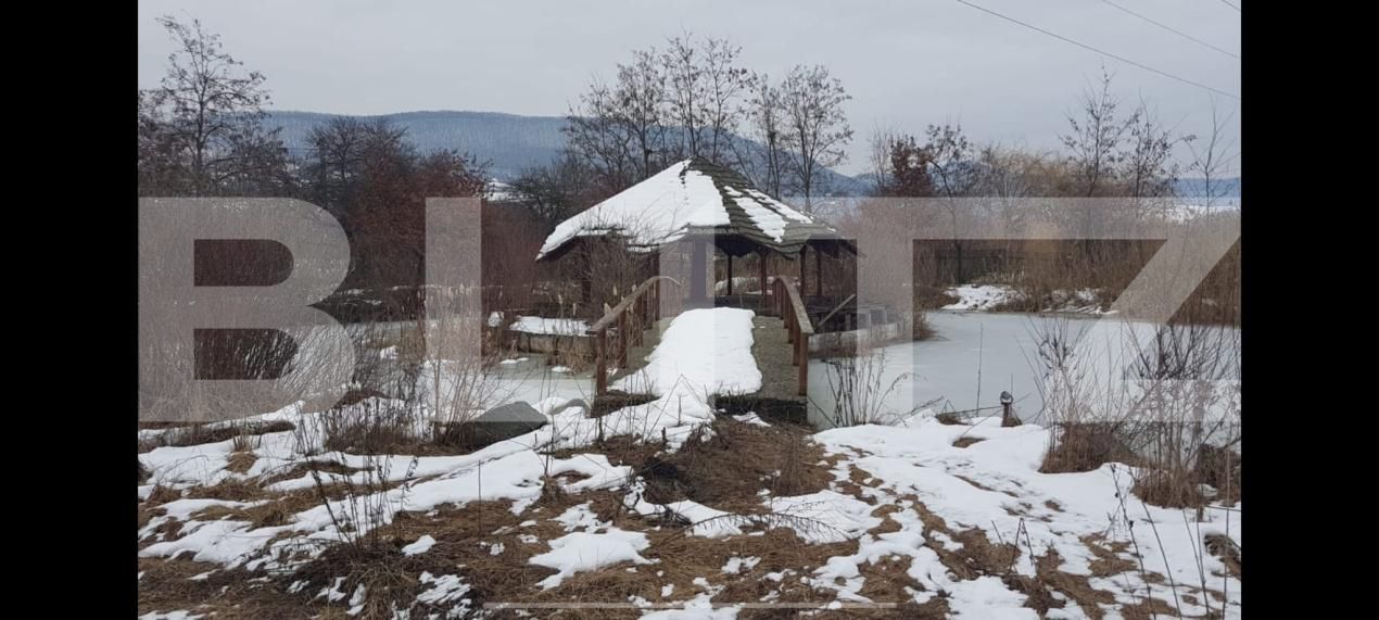 Teren de vânzare Exterior Sud - 164801TV | BLITZ Bistriţa | Poza9