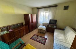 Garsoniera de vanzare, 33 mp, etaj 1, zona Sensul Vechi