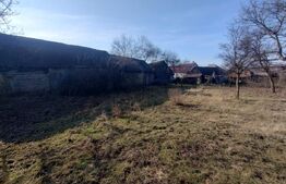 Casa veche, renovabila, 55 mp si 1400 mp teren intravilan+anexe, zona Dumitra