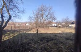 Casa veche, 55 mp si 1000 mp teren intravilan+anexe, zona Dumitra