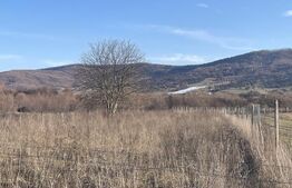 Teren  intravilan de vanzare, 16 ari, zona-Unirea