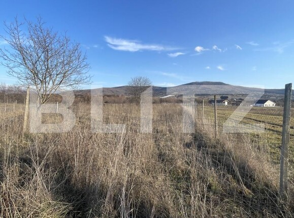 Teren de vânzare Unirea - 164971TV | BLITZ Bistriţa | Poza1