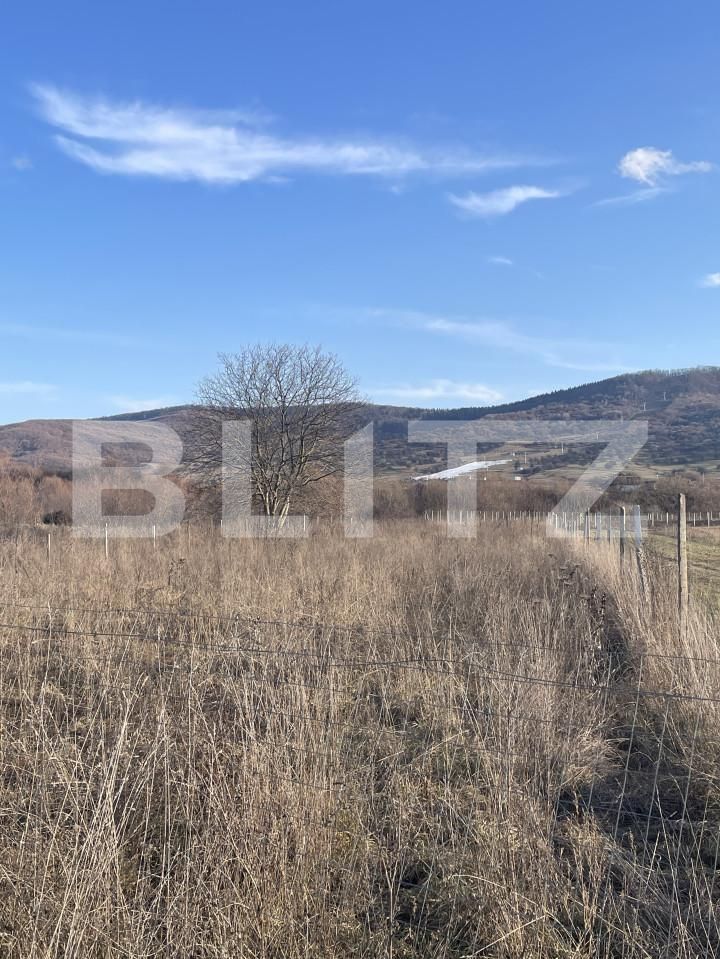 Teren de vânzare Unirea - 164971TV | BLITZ Bistriţa | Poza2