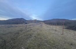 Casa de vanzare, cu 5 camere, 460 mp+teren 5800 mp, 10 km de Bistrita
