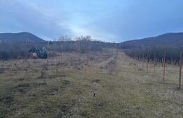 Casa de vanzare, cu 5 camere, 460 mp+teren 5800 mp, 10 km de Bistrita