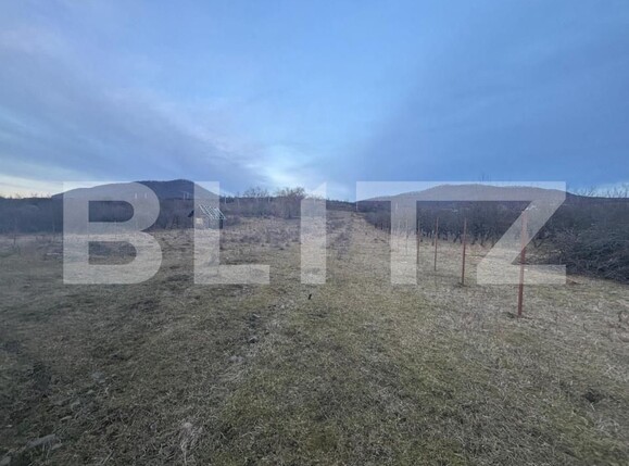 Casa de vânzare 5 camere Sud-Vest - 165109CV | BLITZ Bistriţa | Poza10