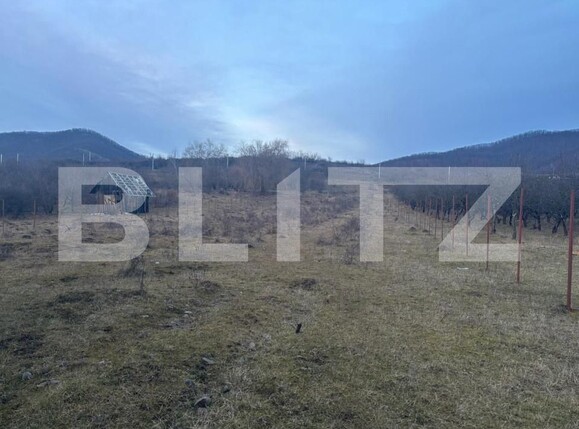 Casa de vânzare 5 camere Sud-Vest - 165109CV | BLITZ Bistriţa | Poza11
