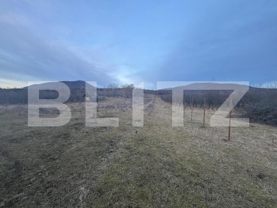 Casa de vânzare 5 camere Sud-Vest - 165109CV | BLITZ Bistriţa | Poza10