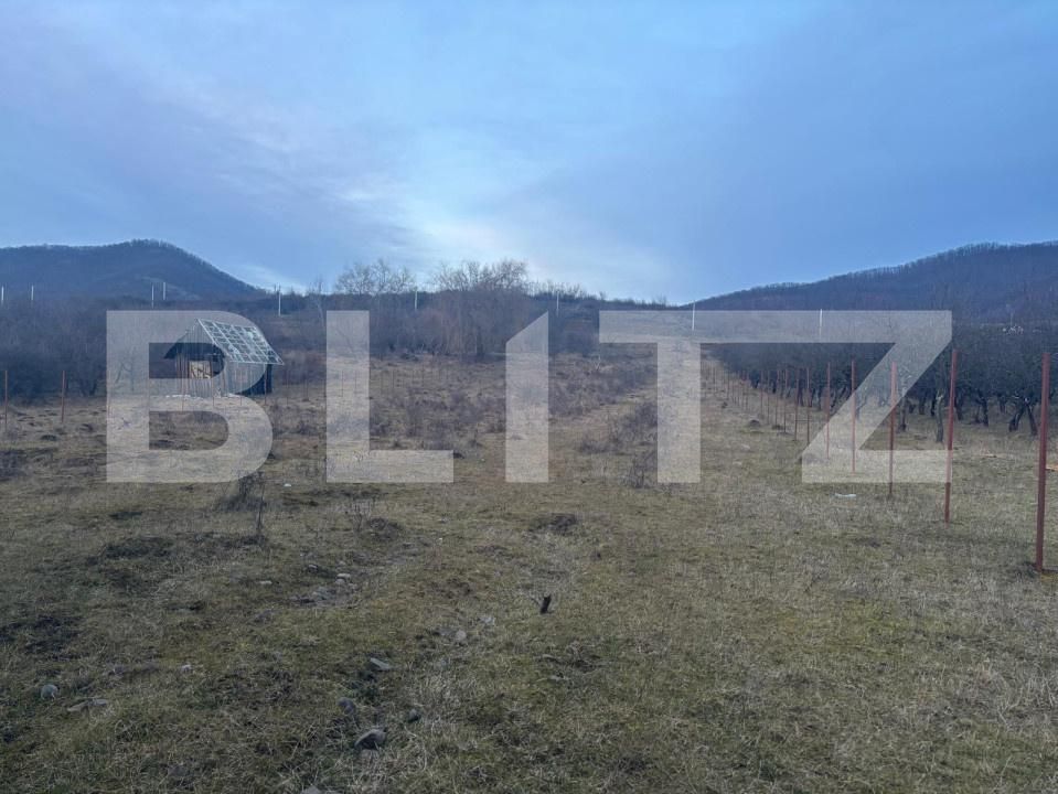 Casa de vânzare 5 camere Sud-Vest - 165109CV | BLITZ Bistriţa | Poza11