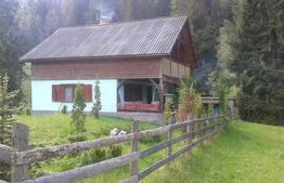 Casă de vacanță în Piatra Fântânele + 4,5 arii teren