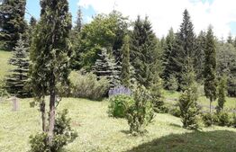 Casă de vacanță în Piatra Fântânele + 4,5 arii teren