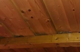 Casă de vacanță în Piatra Fântânele + 4,5 arii teren