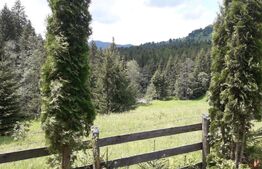 Casă de vacanță în Piatra Fântânele + 4,5 arii teren