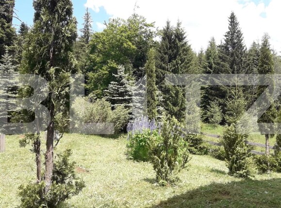 Casa de vânzare 3 camere Exterior Nord - 165136CV | BLITZ Bistriţa | Poza6