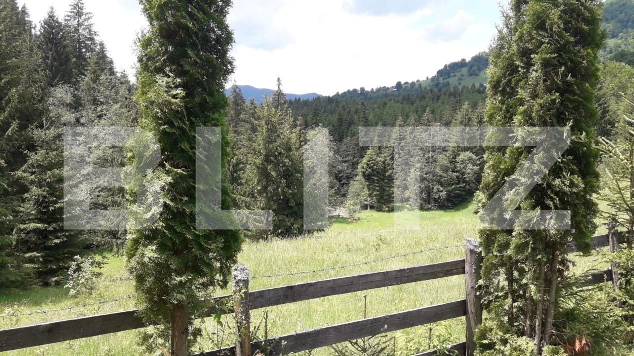 Casa de vânzare 3 camere Exterior Nord - 165136CV | BLITZ Bistriţa | Poza5