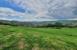 Teren intravilan, 1000mp, Aleea Trifoiului