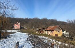 Casa de vacanta, cu 3 camere, 80 mp+teren 23000 mp, Comuna Matei, Bistrita