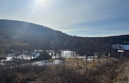 Casa de vacanta, cu 3 camere, 80 mp+teren 23000 mp, Comuna Matei, Bistrita